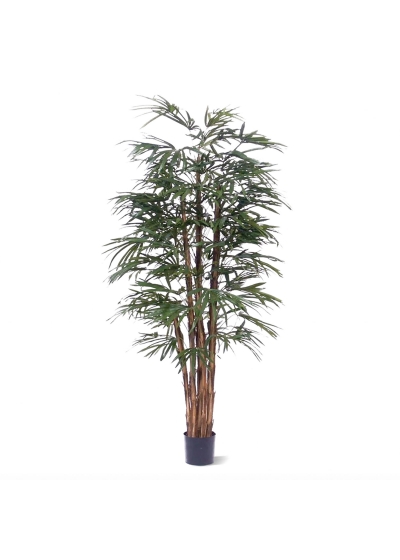 Raphis Palma Artificiale 190cm