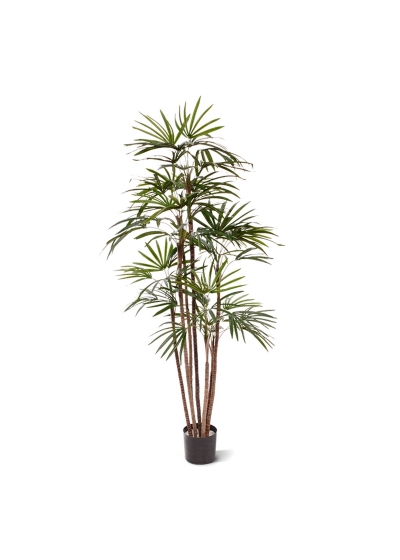 Raphis Palma Artificiale Promo 170cm