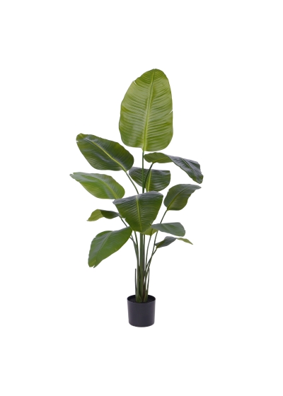 Strelitzia Nicolai Pianta Artificiale 150cm