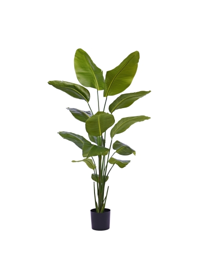 Strelitzia Nicolai Pianta Artificiale 175cm