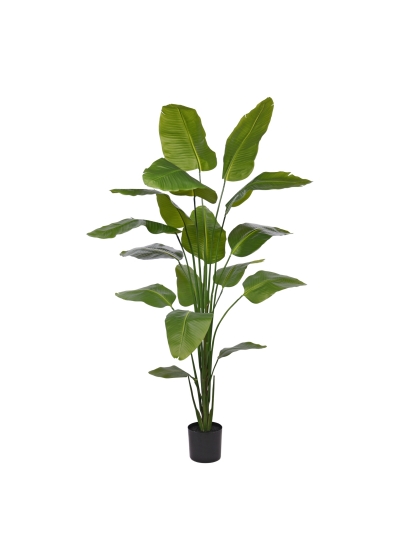 Strelitzia Nicolai Pianta Artificiale 210cm
