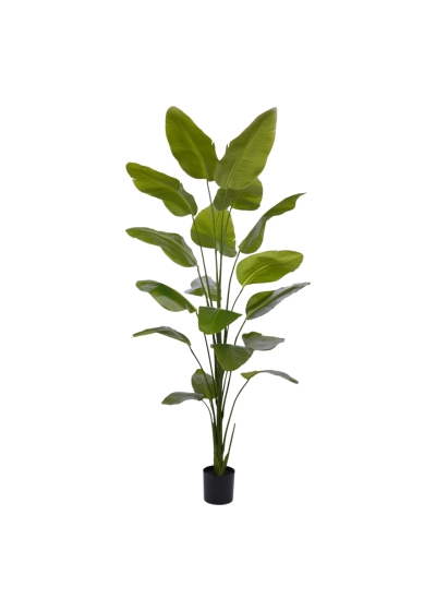 Strelitzia Nicolai Pianta Artificiale 225cm