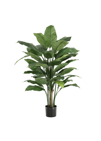 Strelitzia Nicolai XL Palma Artificiale 155cm