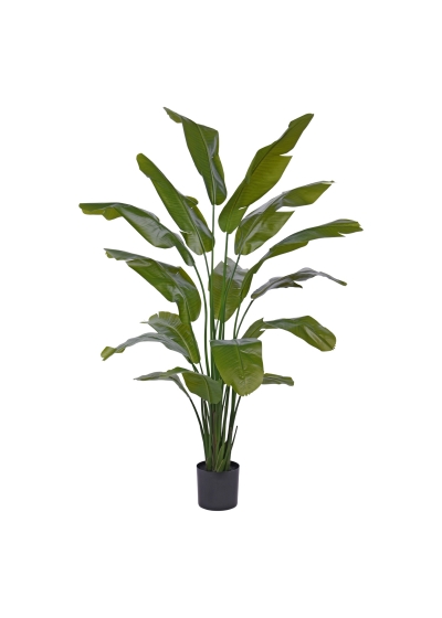 Traveller Palma promo 190cm