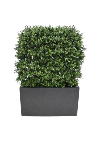 Bosso Deluxe siepe Artificiale 80x100cm - UV Resistente