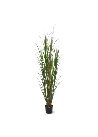 Piantina di Erba palustre Deluxe Artificiale 165cm - Verde - UV Resistente