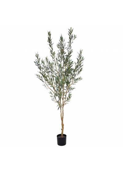 Ulivo Albero Artificiale 175cm N