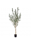 Ulivo Albero Artificiale 175cm N