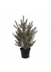Abete Pianta Artificiale di Natale 50cm in vaso da 12cm