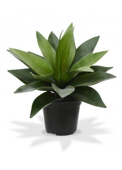 Agave Artificiale 25cm in vaso 10cm