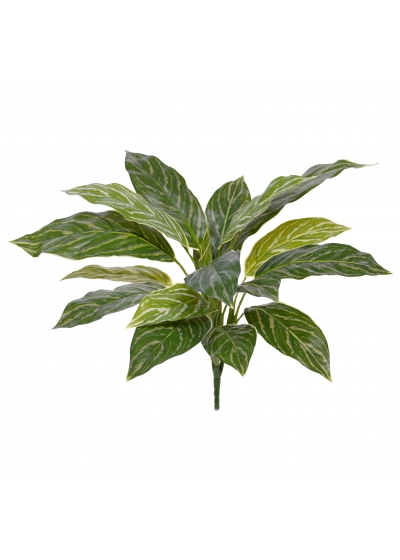 Aglaonema Pianta Artificiale 40cm RT