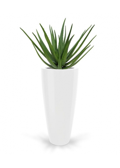Aloe Deluxe Pianta Artificiale 70cm