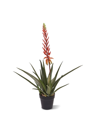Aloe Vera Pianta Artificiale 75cm Rosso