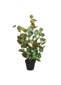 Aralia Polyscias Pianta Artificiale 60cm