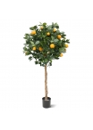 Arancio Artificiale su tronco 120cm