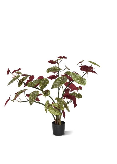 Begonia Maculata Pianta Artificiale 110cm