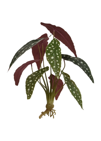Begonia Maculata Pianta Artificiale 35cm