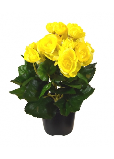 Begonia Pianta Artificiale in vaso 20cm - Giallo