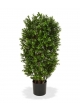 Buxus colonna Artificiale Deluxe 90cm