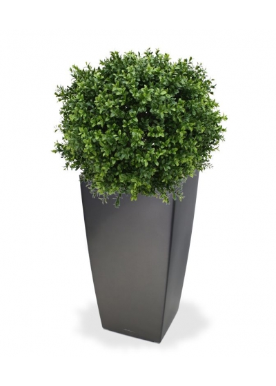 Buxus sfera Artificiale Deluxe 50cm