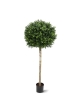 Buxus sfera su tronco Artificiale 110cm - UV Resistente