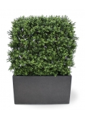 Buxus siepe Artificiale Deluxe 80x100cm