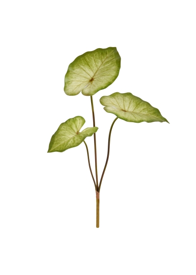 Caladium Aaron Pianta Artificiale 60cm
