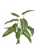 Caladium Lindenii Pianta Artificiale 50cm