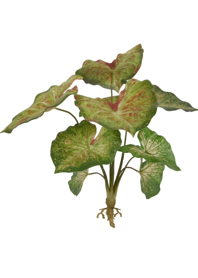 Caladium Raspberry Pianta Artificiale 40cm