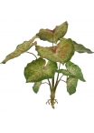 Caladium Raspberry Pianta Artificiale 40cm