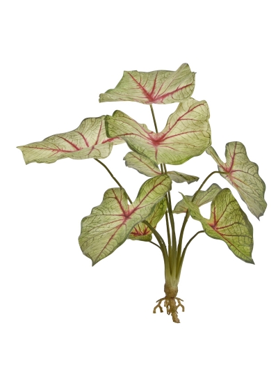 Caladium White Queen Pianta Artificiale 40cm