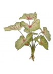 Caladium White Queen Pianta Artificiale 40cm
