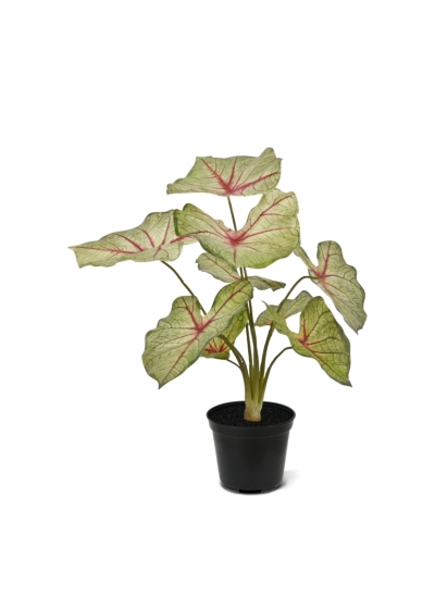 Caladium White Queen Pianta Artificiale 45cm