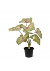 Caladium White Queen Pianta Artificiale 45cm