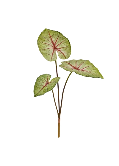 Caladium White Queen Pianta Artificiale 60cm