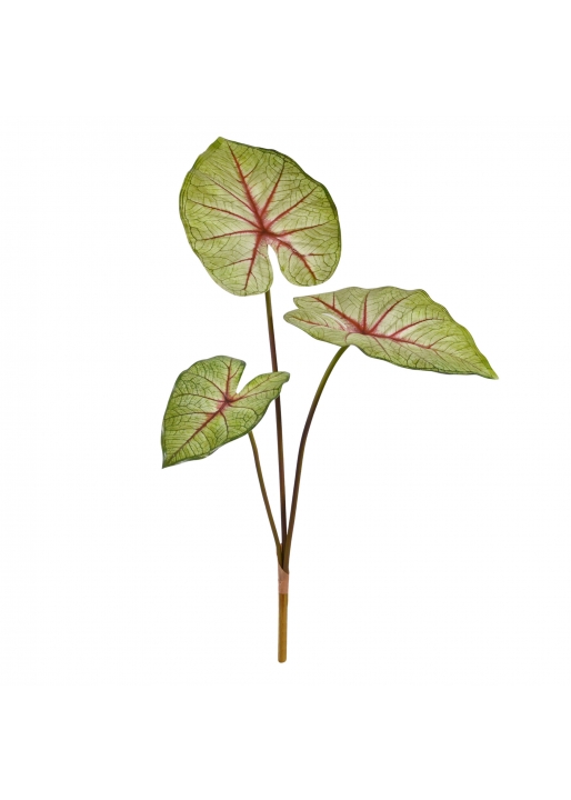 Caladium White Queen Pianta Artificiale 60cm