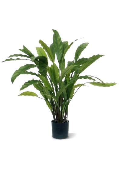 Calathea Artificiale 60cm - Verde