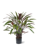 Calathea Artificiale 85cm - Verde/Rosso