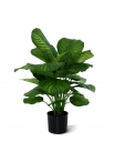 Calathea Fasciata Artificiale 80cm