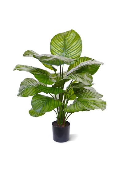 Calathea Fasciata Pianta Artificiale 70cm