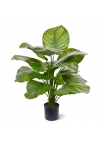 Calathea Fasciata Pianta Artificiale 70cm