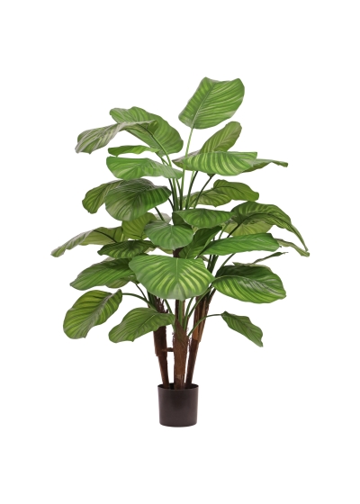 Calathea Fasciata Pianta Artificiale Deluxe 110cm