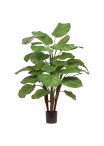 Calathea Fasciata Pianta Artificiale Deluxe 110cm