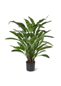 Calathea Leopardina Pianta Artificiale 60cm