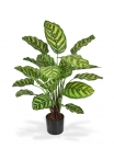 Calathea Makoyana Pianta Artificiale 60cm
