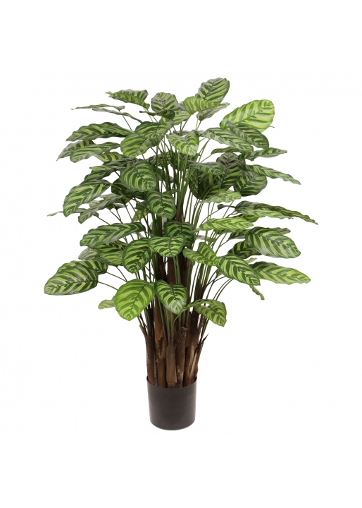 Calathea Makoyana Pianta Artificiale Deluxe 115cm