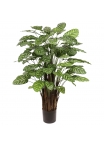 Calathea Makoyana Pianta Artificiale Deluxe 115cm