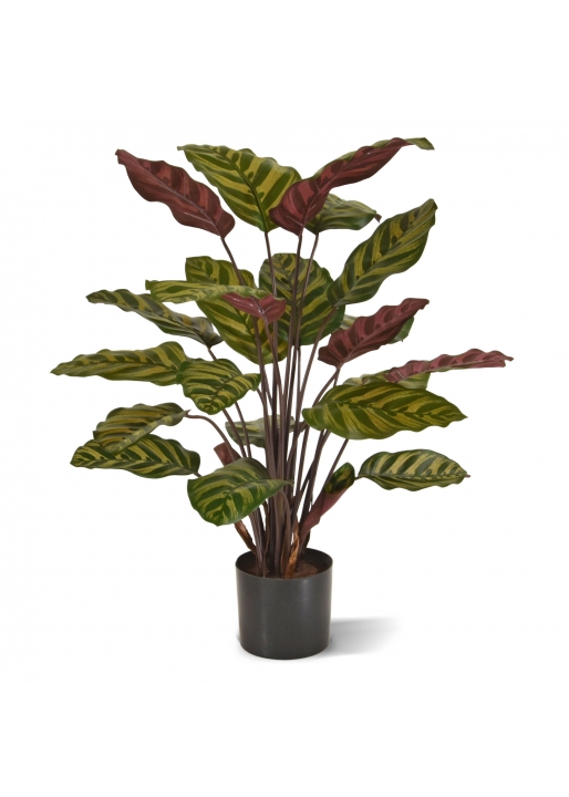 Calathea Makoyana Red Pianta Artificiale 60cm