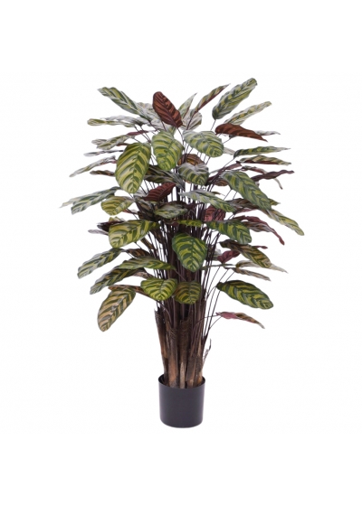 Calathea Makoyana Red Pianta Artificiale Deluxe 115cm