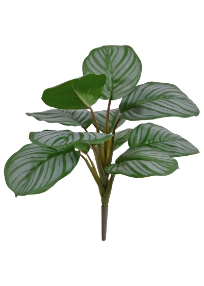 Calathea Orbifolia Pianta Artificiale 30cm - Verde/Grigio